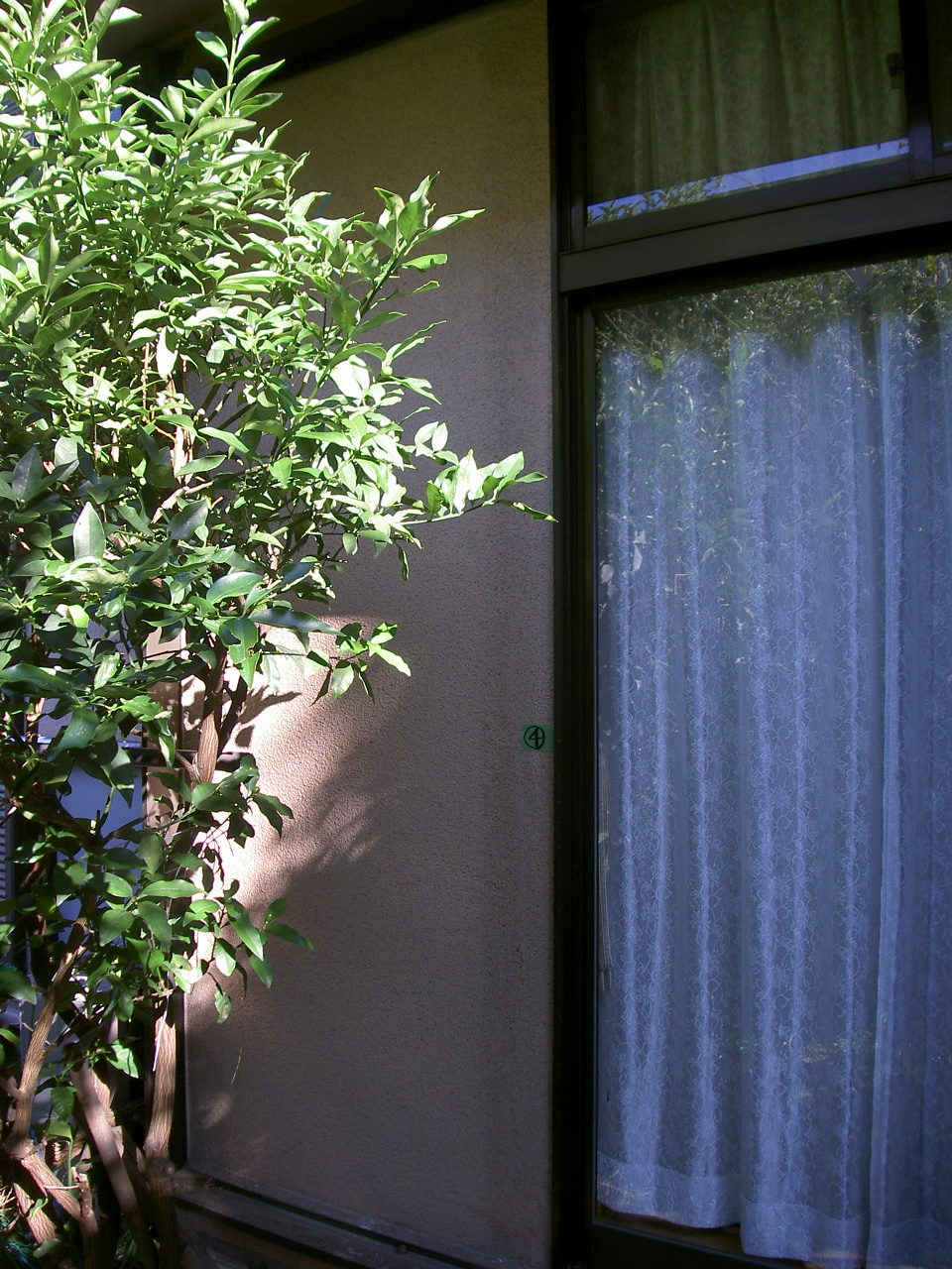 木造住宅耐震化工事(外壁)